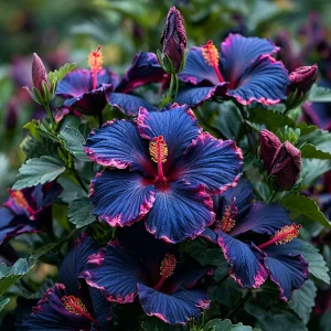 Гибискус Голден Глоу купить по цене от 259р. в интернет-магазине «Посадика» с доставкой почтой в в Катав-Ивановске и по всей России – [изображение №1].